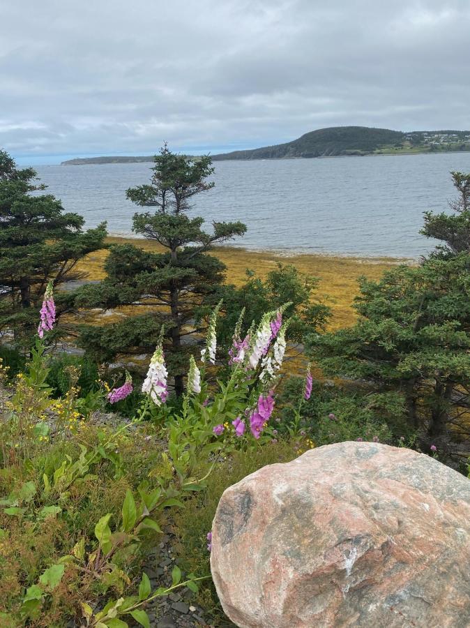 Rocky Harbour Oceanfront Villa Exterior photo